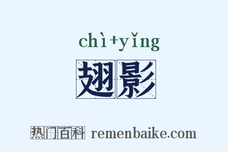翅影是什么意思的图片